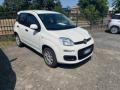 usato FIAT Panda