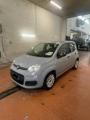 usato FIAT Panda