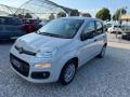 usato FIAT Panda