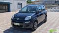 usato FIAT Panda