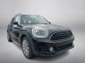 usato MINI Countryman