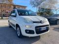 usato FIAT Panda