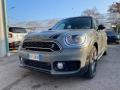 usato MINI Countryman