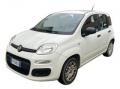 usato FIAT Panda
