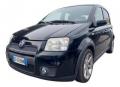 usato FIAT Panda