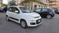 usato FIAT Panda