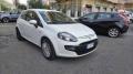 usato FIAT Punto Evo