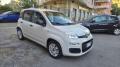 usato FIAT Panda