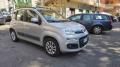 usato FIAT Panda