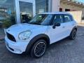 usato MINI Countryman