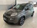 usato FIAT Panda