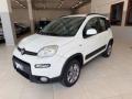usato FIAT Panda