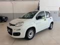 usato FIAT Panda