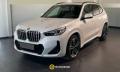 usato BMW X1
