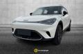 usato SMART Altro