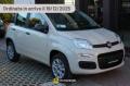 nuovo FIAT Panda