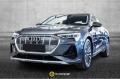 usato AUDI e tron