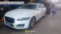 usato JAGUAR XF
