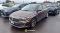 usato FIAT Tipo