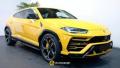 usato LAMBORGHINI Urus