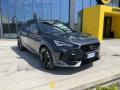 usato CUPRA Formentor