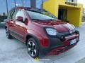 usato FIAT Panda