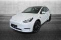 usato TESLA Model Y