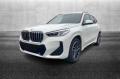 usato BMW X1