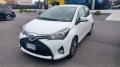 usato TOYOTA Yaris