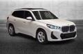 usato BMW X1