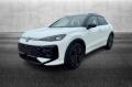 usato VOLKSWAGEN T Roc