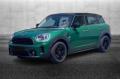 usato MINI Countryman