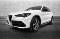 usato ALFA ROMEO Stelvio