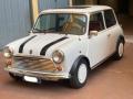 usato MINI Altro