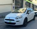 usato FIAT Punto