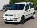 usato FIAT Panda