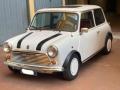 usato MINI Altro