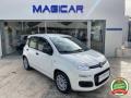 usato FIAT Panda