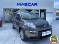 usato FIAT Panda
