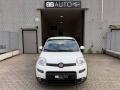 usato FIAT Panda