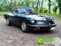 usato ALFA ROMEO Spider