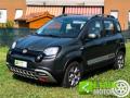 usato FIAT Panda Cross