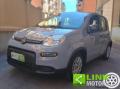 usato FIAT Panda