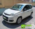 usato FIAT Panda
