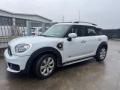 usato MINI Countryman