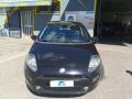 usato FIAT Punto