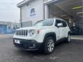 usato JEEP Renegade