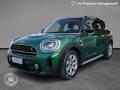 usato MINI Countryman