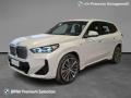 usato BMW iX1