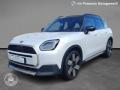 usato MINI Countryman